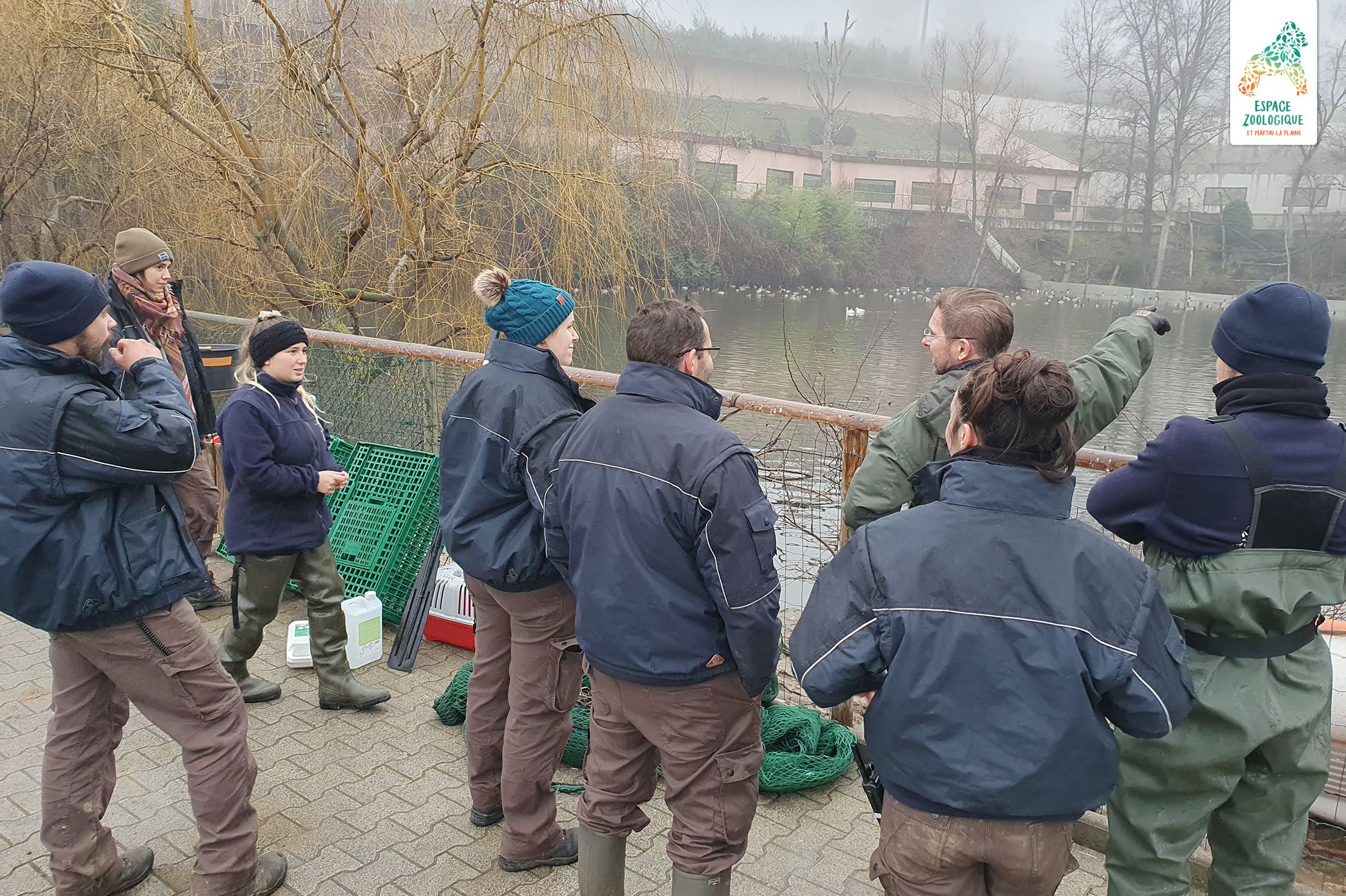 panthère des neiges