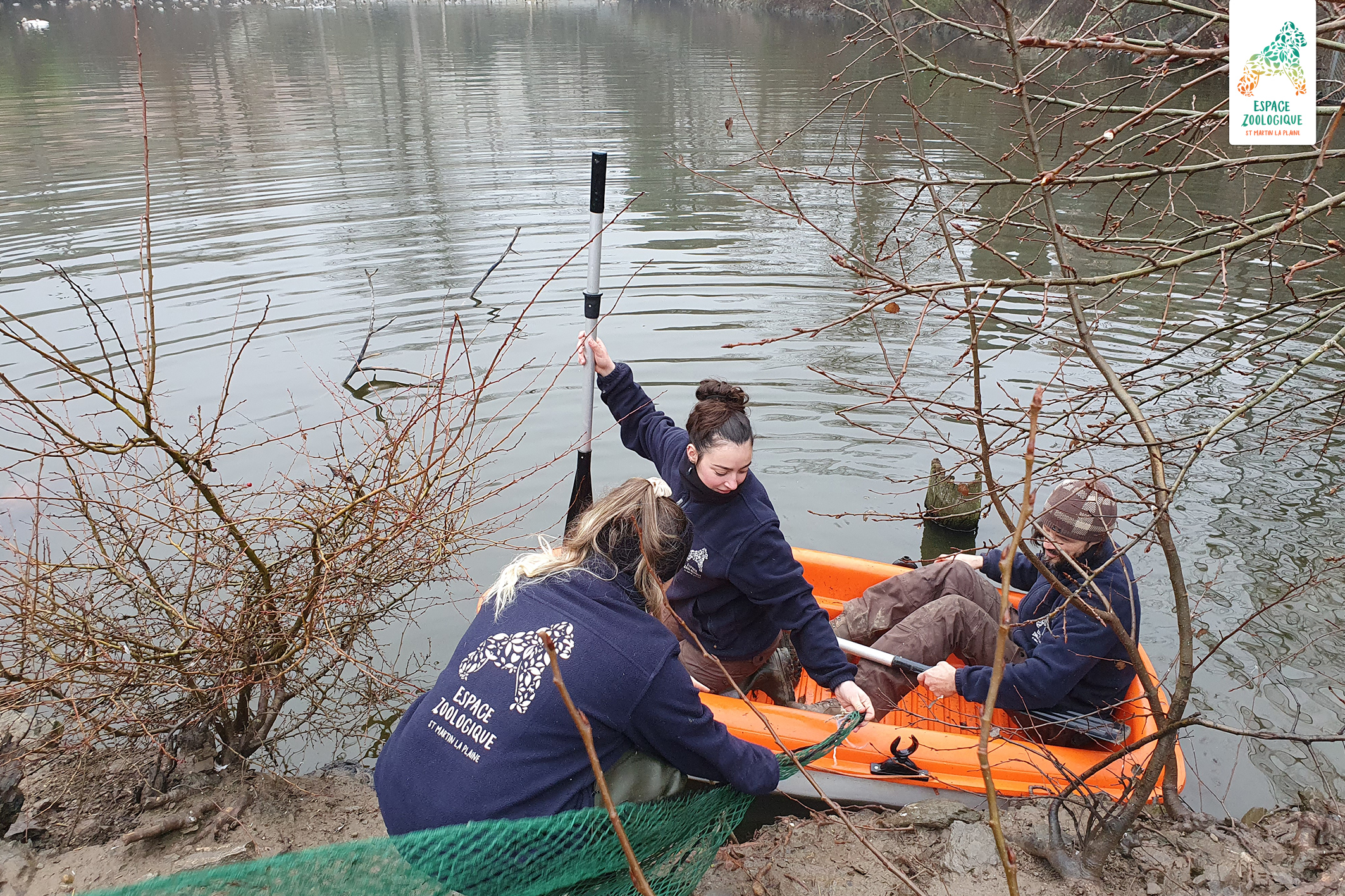 panthère des neiges